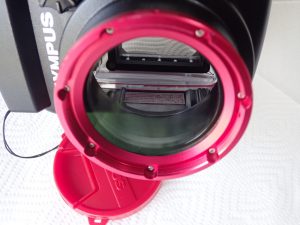 中古水中カメラ OLYMPUS PT-EP12 防水プロテクター