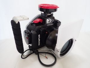 OLYMPUS PT-EP12 60mmマクロレンズ仕様
