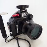 OLYMPUS PT-EP12 60mmマクロレンズ仕様