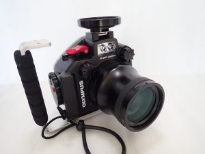 OLYMPUS PT-EP12 60mmマクロレンズ仕様